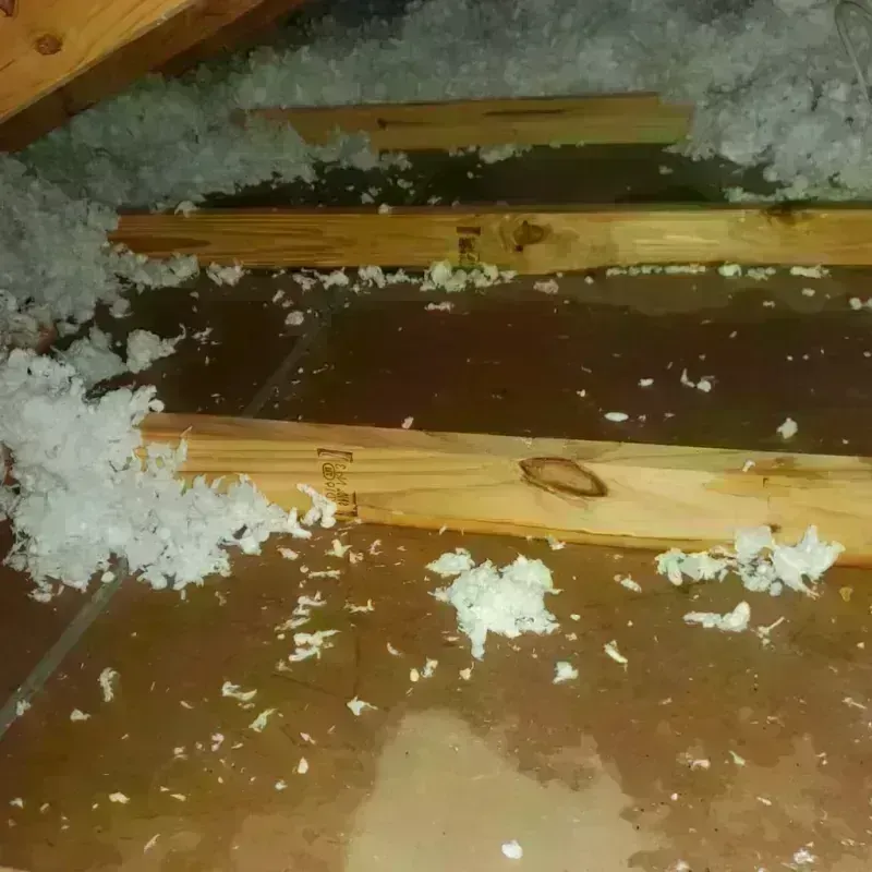 Attic Water Damage in Cornish, ME